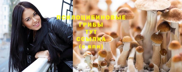 ALPHA PVP Алзамай