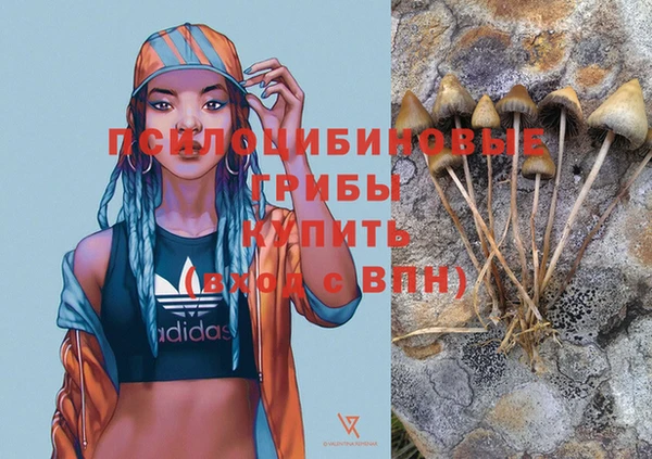 первитин Алексеевка